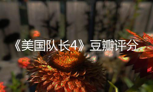 《美國隊長4》豆瓣評分刷新史上最低 黑人美隊撲街