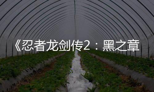 《忍者龍劍傳2：黑之章》Steam同時(shí)在線峰值2259人