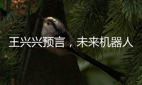 王興興預(yù)言，未來機(jī)器人將縮小至細(xì)胞大小，科技革新引領(lǐng)新時代