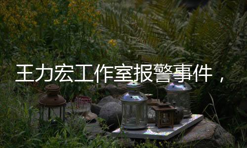 王力宏工作室報(bào)警事件，揭秘背后真相