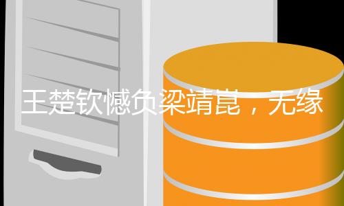 王楚欽憾負(fù)梁靖崑，無(wú)緣男單決賽
