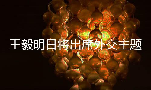 王毅明日將出席外交主題記者會，聚焦國際交流與政策解讀的十要點