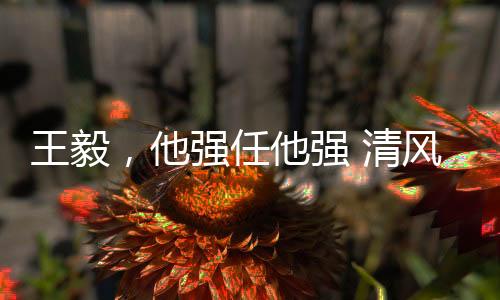 王毅，他強任他強 清風(fēng)拂山崗