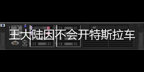 王大陸因不會開特斯拉車門捶窗，引發(fā)社交媒體熱議