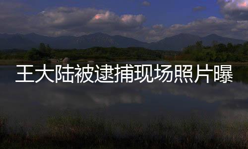 王大陸被逮捕現(xiàn)場照片曝光深度報道