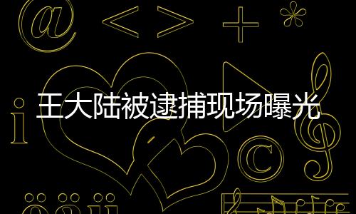 王大陸被逮捕現(xiàn)場(chǎng)曝光