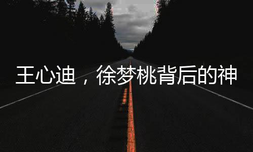 王心迪，徐夢桃背后的神秘榜一大哥探秘