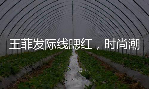 王菲發(fā)際線腮紅，時(shí)尚潮流的新焦點(diǎn)