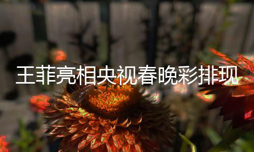 王菲亮相央視春晚彩排現(xiàn)場，引爆全民期待熱潮