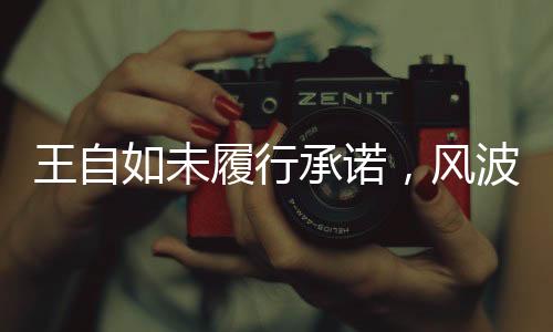 王自如未履行承諾，風(fēng)波背后的故事