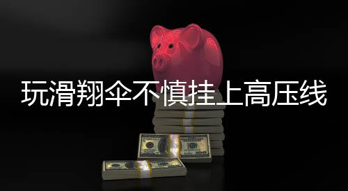 玩滑翔傘不慎掛上高壓線，驚險(xiǎn)一幕引發(fā)社會關(guān)注