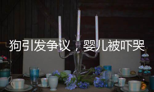 狗引發(fā)爭(zhēng)議，嬰兒被嚇哭，家長(zhǎng)驅(qū)趕遭狗主人怒斥