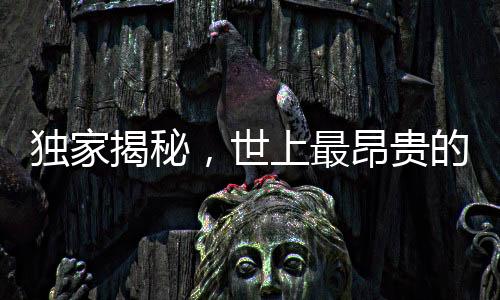 獨(dú)家揭秘，世上最昂貴的狗狗以4125萬(wàn)天價(jià)成交