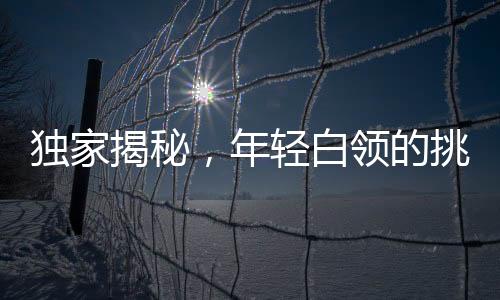 獨家揭秘，年輕白領的挑戰(zhàn)——租住公司衛(wèi)生間的女生的故事