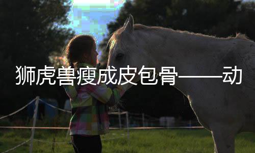 獅虎獸瘦成皮包骨——?jiǎng)游锔＠c健康引人關(guān)注