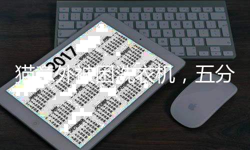 貓意外被困洗衣機(jī)，五分鐘的洗禮引發(fā)關(guān)注