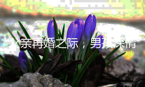 父親再婚之際，男孩深情向新母親磕頭，全場(chǎng)感人至深