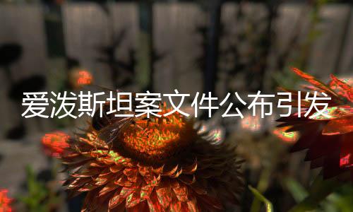 愛潑斯坦案文件公布引發(fā)社會關(guān)注與反思