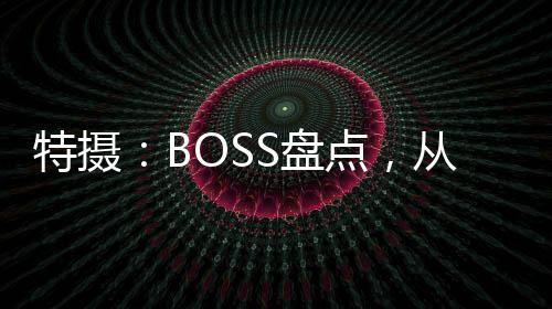 特?cái)z：BOSS盤點(diǎn)，從零號(hào)開始