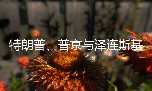 特朗普、普京與澤連斯基，會談能否達成停戰(zhàn)協(xié)議？