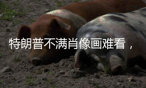 特朗普不滿肖像畫難看，引發(fā)公眾熱議
