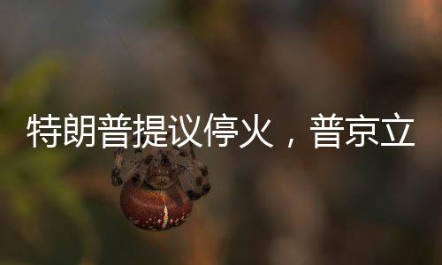 特朗普提議?；?，普京立即行動，軍事響應(yīng)背后的深層考量