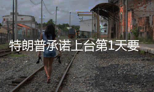 特朗普承諾上臺(tái)第1天要做的10件事情