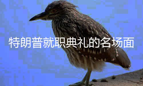 特朗普就職典禮的名場面展望