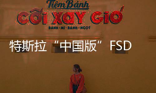 特斯拉“中國(guó)版”FSD測(cè)試翻車？大V陳震：出現(xiàn)7次違章，車主是第一責(zé)任人