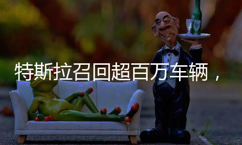 特斯拉召回超百萬車輛，安全至上，質(zhì)量無憂