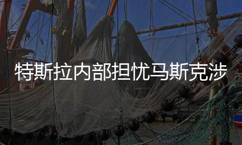 特斯拉內部擔憂馬斯克涉政傷害公司