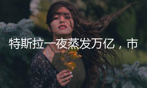 特斯拉一夜蒸發(fā)萬(wàn)億，市值巨震揭示產(chǎn)業(yè)內(nèi)外憂與未來展望