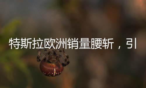 特斯拉歐洲銷量腰斬，引發(fā)市場深度關(guān)注