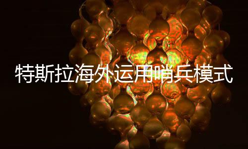 特斯拉海外運(yùn)用哨兵模式應(yīng)對暴力潮，策略解讀與啟示