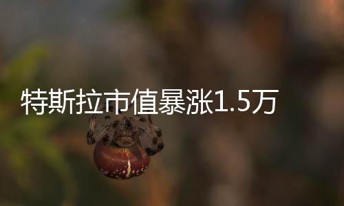 特斯拉市值暴漲1.5萬億，引領(lǐng)全球新能源汽車產(chǎn)業(yè)新篇章