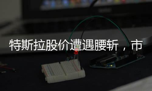 特斯拉股價(jià)遭遇腰斬，市場(chǎng)波動(dòng)下的深思與洞察