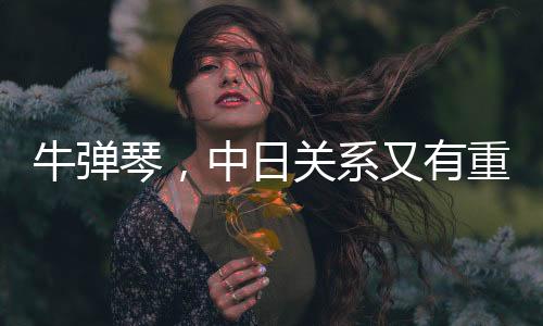 牛彈琴，中日關(guān)系又有重大突破