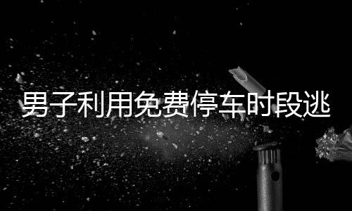 男子利用免費停車時段逃費71次，道德誠信與社會監(jiān)管的雙重考驗
