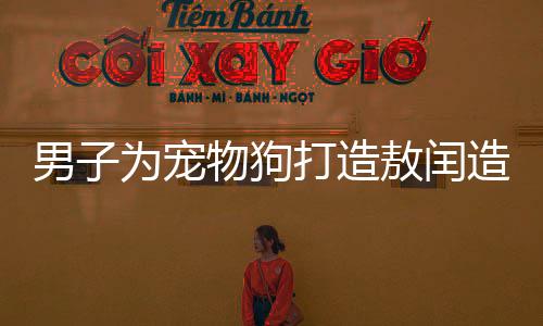 男子為寵物狗打造敖閏造型，秒變氣質(zhì)龍，一次顛覆想象的寵物美容之旅