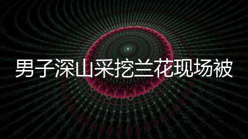男子深山采挖蘭花現(xiàn)場(chǎng)被擒，生態(tài)保護(hù)的嚴(yán)峻挑戰(zhàn)與法治意識(shí)的覺醒