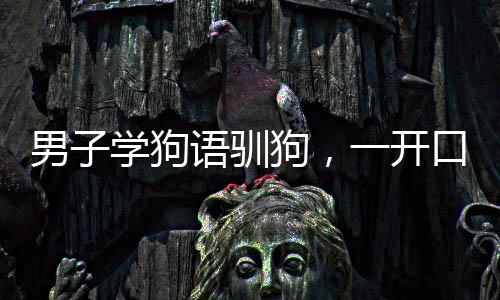 男子學(xué)狗語馴狗，一開口就被撲咬——探尋人與犬的溝通之道