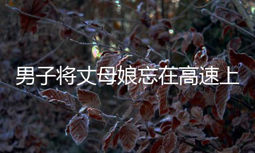 男子將丈母娘忘在高速上，一場意外的家庭插曲