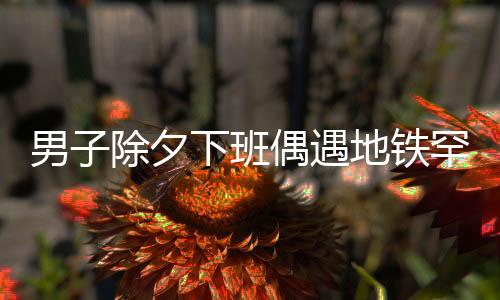 男子除夕下班偶遇地鐵罕見(jiàn)一幕，車廂內(nèi)僅他一人在行駛
