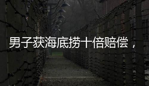 男子獲海底撈十倍賠償，朋友要求平分——引發(fā)賠償分配問(wèn)題的熱議