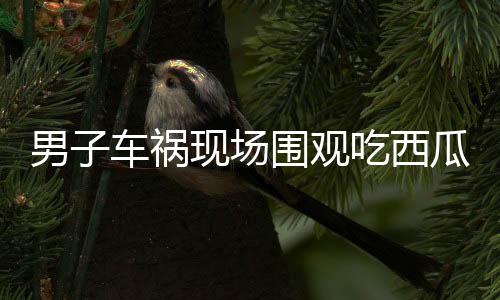 男子車禍現(xiàn)場圍觀吃西瓜，意外被民警查出酒駕——酒后切勿駕車，安全警鐘長鳴