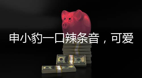 申小豹一口辣條音，可愛形象瞬間爆紅