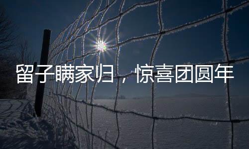 留子瞞家歸，驚喜團圓年