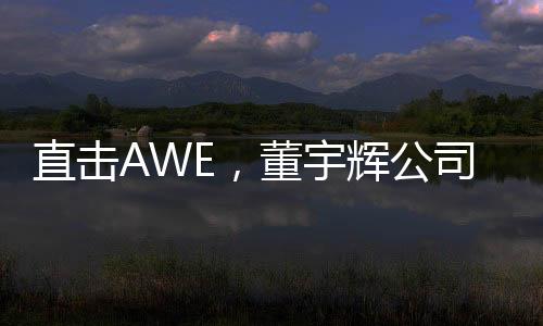 直擊AWE，董宇輝公司一日帶貨超1億——科技巨頭的新零售奇跡