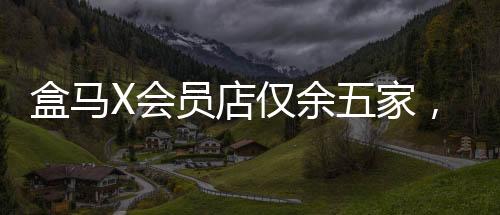 盒馬X會員店僅余五家，深度解讀其經營狀況與市場布局