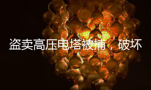 盜賣高壓電塔被捕，破壞公共設(shè)施將面臨嚴(yán)厲法律制裁